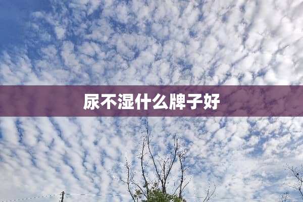尿不湿什么牌子好