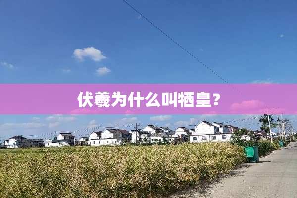 伏羲为什么叫牺皇？