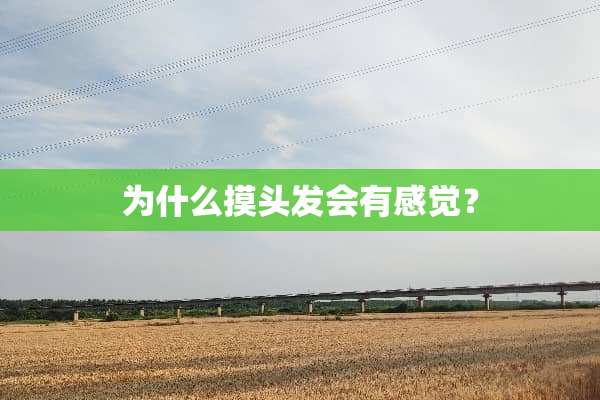 为什么摸头发会有感觉？