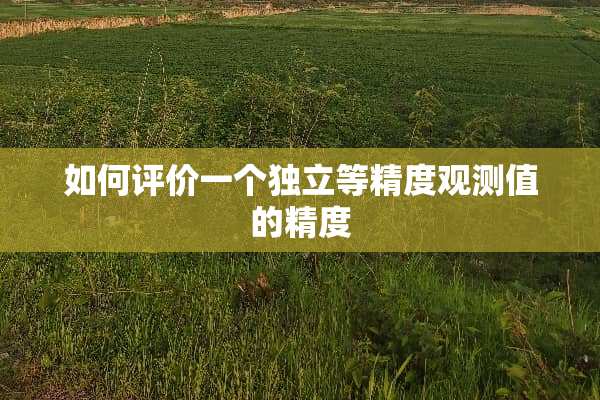 如何评价一个**等精度观测值的精度