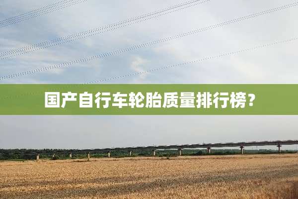 国产自行车轮胎质量排行榜？