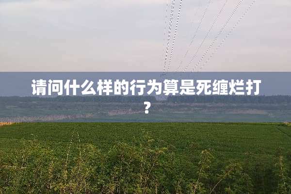 请问什么样的行为算是死缠烂打？