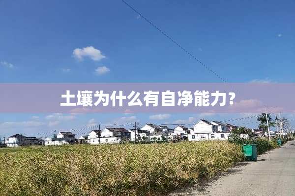 土壤为什么有自净能力？