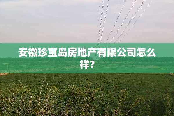 安徽珍宝岛房地产有限公司怎么样？