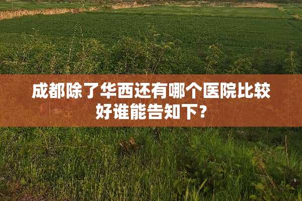 成都除了华西还有哪个医院比较好谁能告知下？