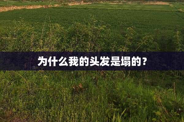 为什么我的头发是塌的？