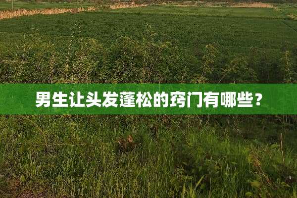 男生让头发蓬松的窍门有哪些？