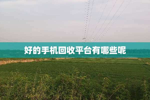 好的手机回收平台有哪些呢