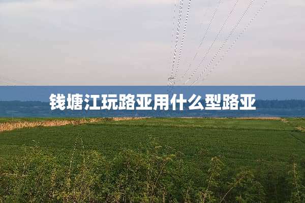 钱塘江玩路亚用什么型路亚