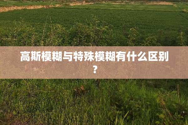 高斯模糊与特殊模糊有什么区别？
