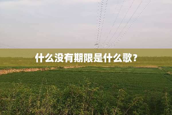 什么没有期限是什么歌？