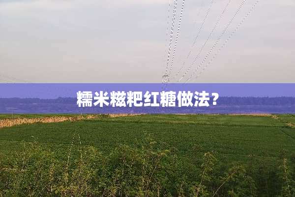 糯米糍粑红糖做法？