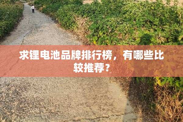 求锂电池品牌排行榜，有哪些比较推荐？