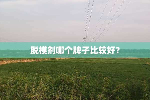 脱模剂哪个牌子比较好？