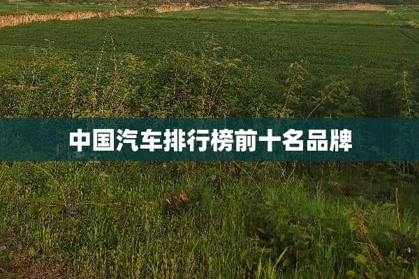 中国汽车排行榜前十名品牌