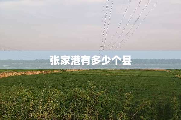 张家港有多少个县