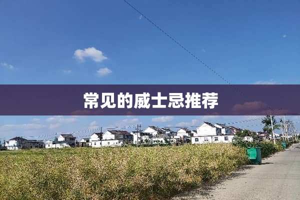 常见的威士忌推荐