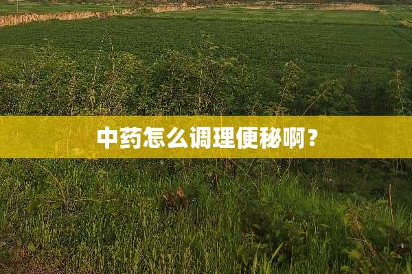 中药怎么调理便秘啊？