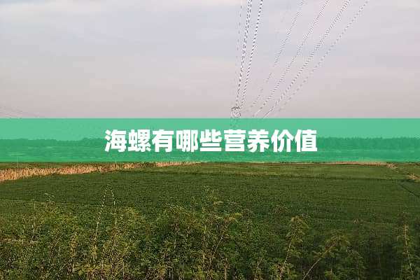 海螺有哪些营养价值
