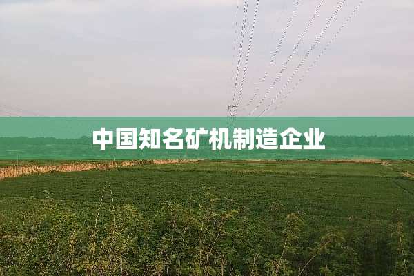 中国知名矿机制造企业