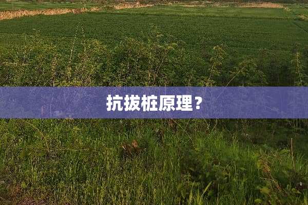 抗拔桩原理？