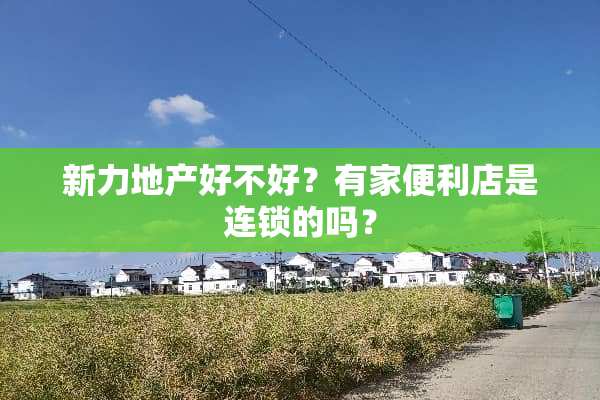 新力地产好不好？有家便利店是连锁的吗？