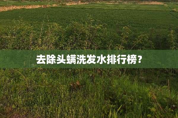 去除头螨洗发水排行榜？