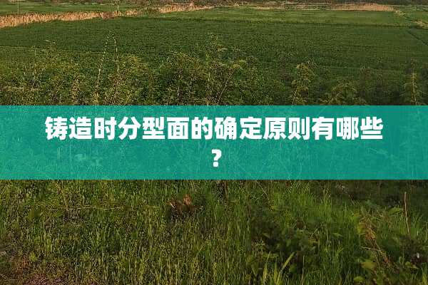 铸造时分型面的确定原则有哪些？