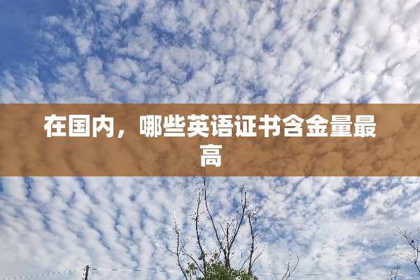 在国内，哪些英语证书含金量最高