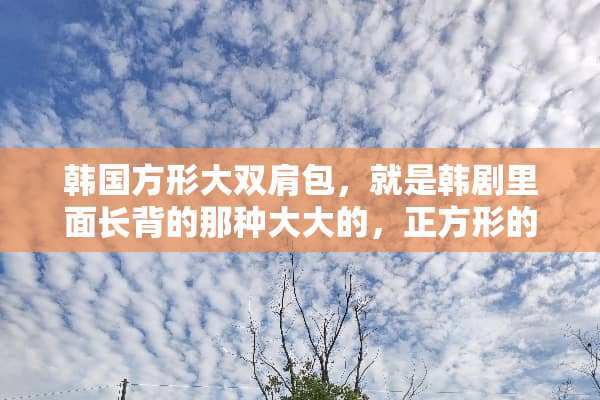 韩国方形大双肩包，就是韩剧里面长背的那种大大的，正方形的双肩背包