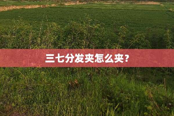 三七分发夹怎么夹？
