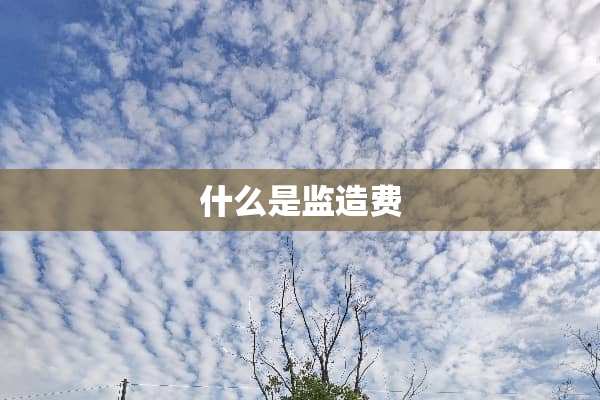 什么是监造费