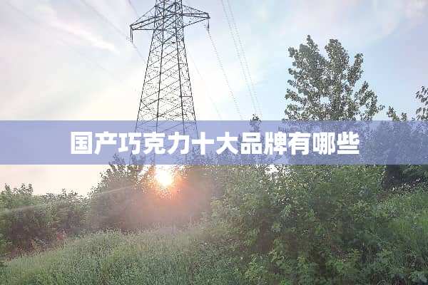 国产巧克力十大品牌有哪些
