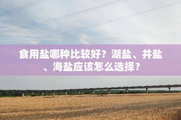食用盐哪种比较好？湖盐、井盐、海盐应该怎么选择？