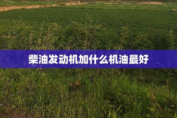 柴油发动机加什么机油最好