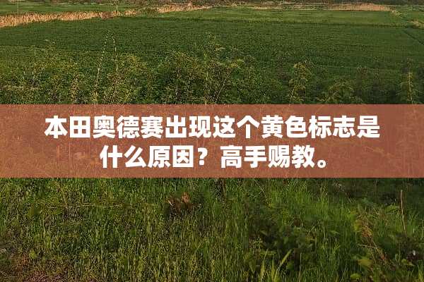本田奥德赛出现这个**标志是什么原因？高手赐教。