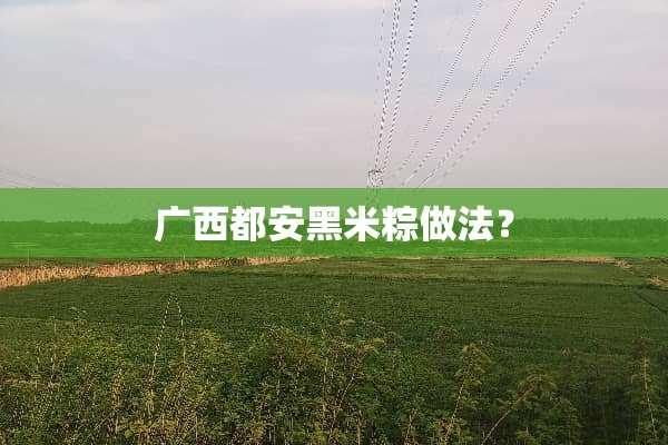 广西都安黑米粽做法？