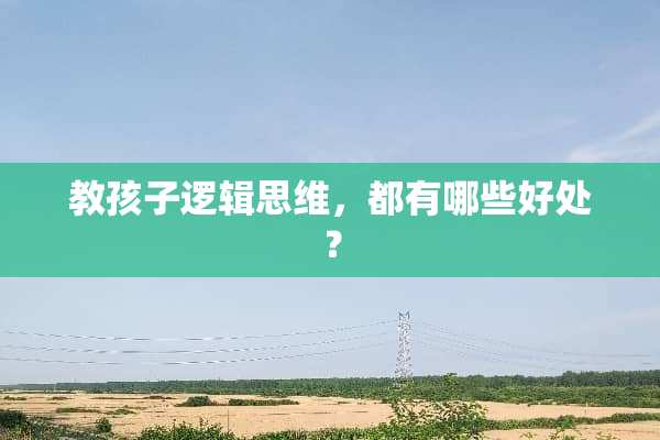 教孩子逻辑思维，都有哪些好处？