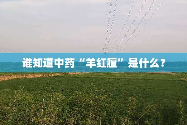 谁知道中药“羊红膻”是什么？