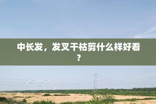 中长发，发叉干枯剪什么样好看？