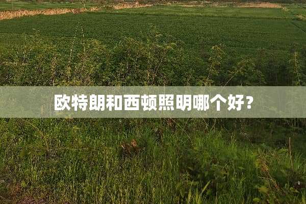 欧特朗和西顿照明哪个好？