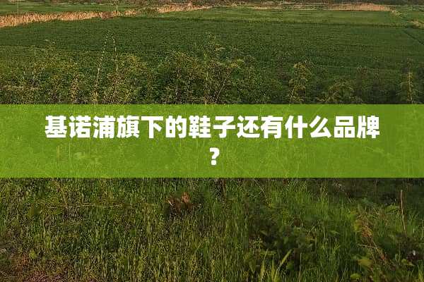 基诺浦旗下的鞋子还有什么品牌？