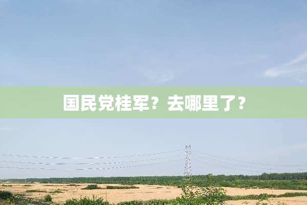 国民*桂军？去哪里了？