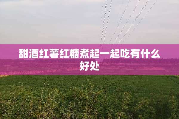 甜酒红薯红糖煮起一起吃有什么好处