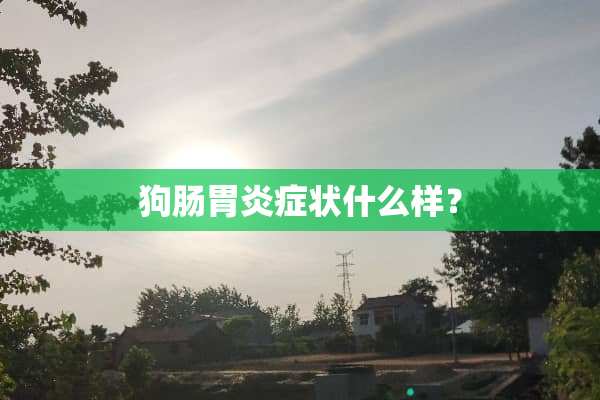 狗肠胃炎症状什么样？