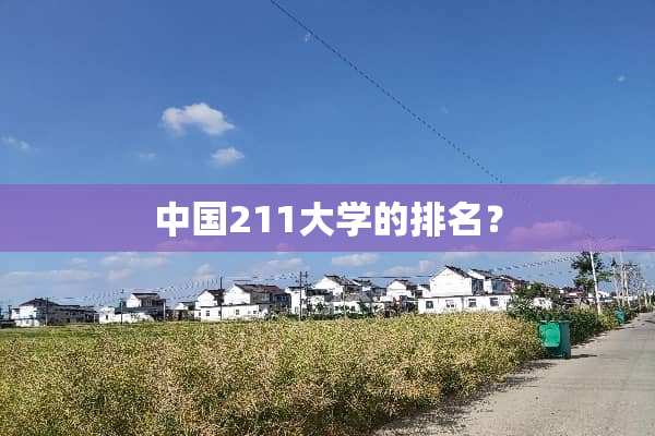 中国211大学的排名？