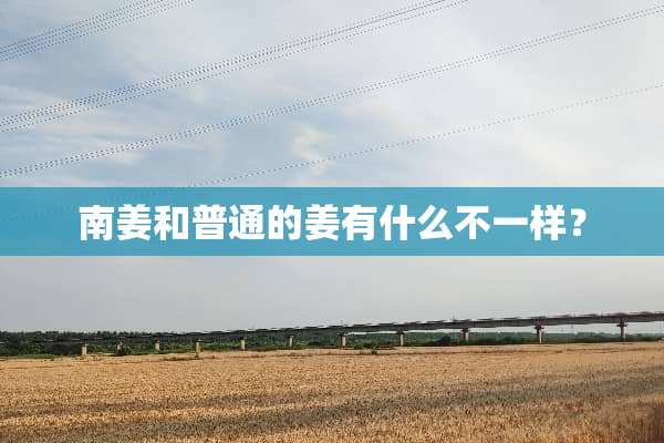南姜和普通的姜有什么不一样？