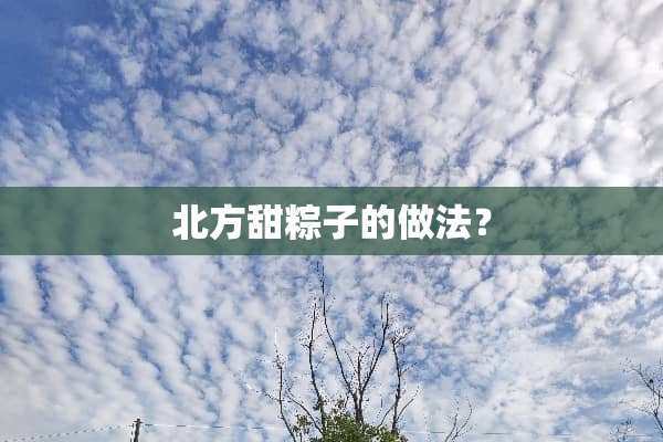 北方甜粽子的做法？