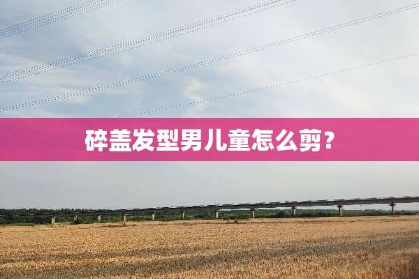 碎盖发型男儿童怎么剪？