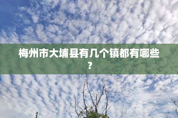梅州市大埔县有几个镇都有哪些？